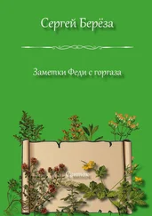 Сергей Берёза - Заметки Феди с горгаза. Свиток