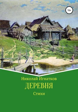 Николай Игнатков Деревня обложка книги