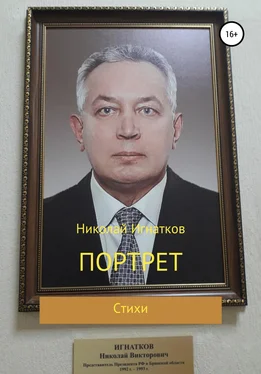 Николай Игнатков Портрет обложка книги