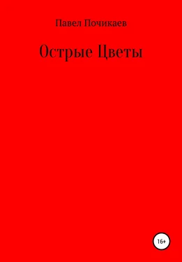 Павел Почикаев Острые цветы обложка книги