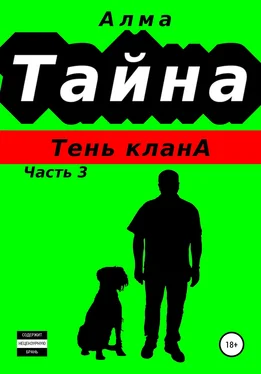 Алма Тайна. Тень клана обложка книги