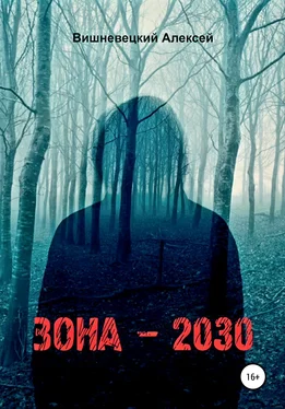 Алексей Вишневецкий Зона 2030 обложка книги