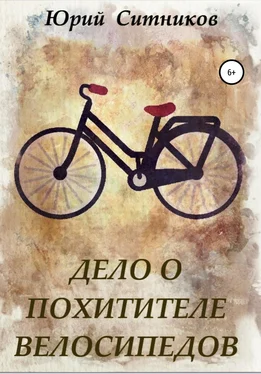 Юрий Ситников Дело о похитителе велосипедов обложка книги