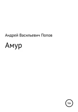 Андрей Попов Амур обложка книги