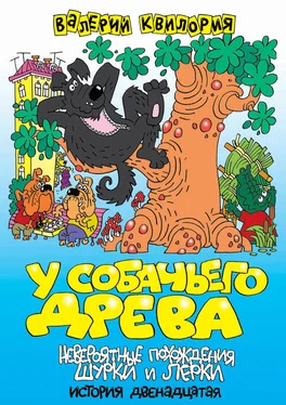 Валерий Квилория У собачьего древа обложка книги