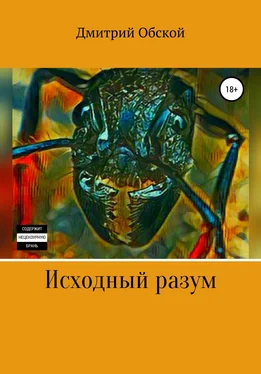 Дмитрий Обской Исходный разум обложка книги