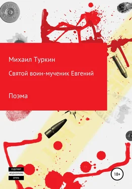 Михаил Туркин Святой воин-мученик Евгений обложка книги