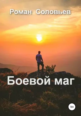 Роман Соловьев Боевой маг обложка книги