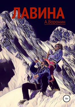 Андрей Воронин Лавина обложка книги