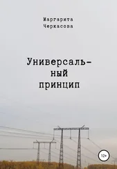 Маргарита Черкасова - Универсальный принцип