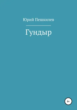 Юрий Пешкилев Гундыр обложка книги