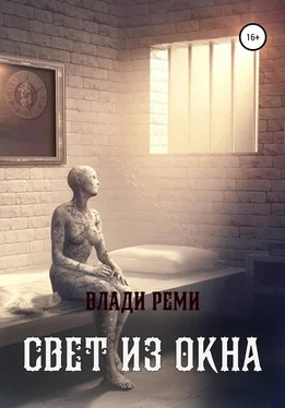 Влади Реми Свет из окна обложка книги