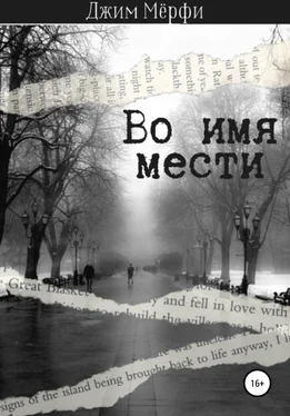 Джим Мёрфи Во имя мести обложка книги