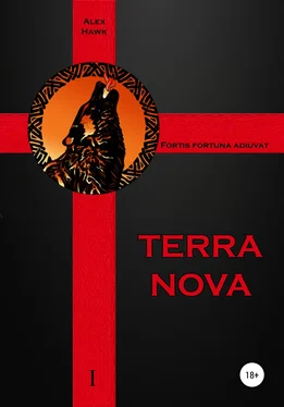 Alex Hawk TERRA NOVA обложка книги