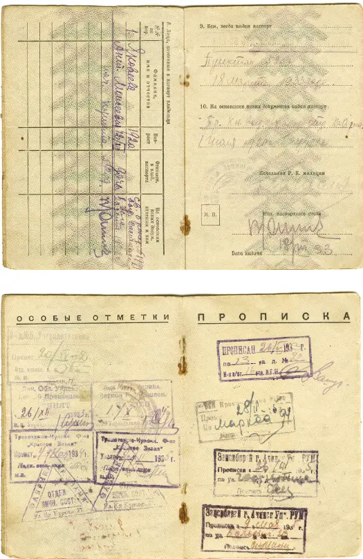 Plate 1adThe 1933 passport Source State Museum of Political History - фото 3