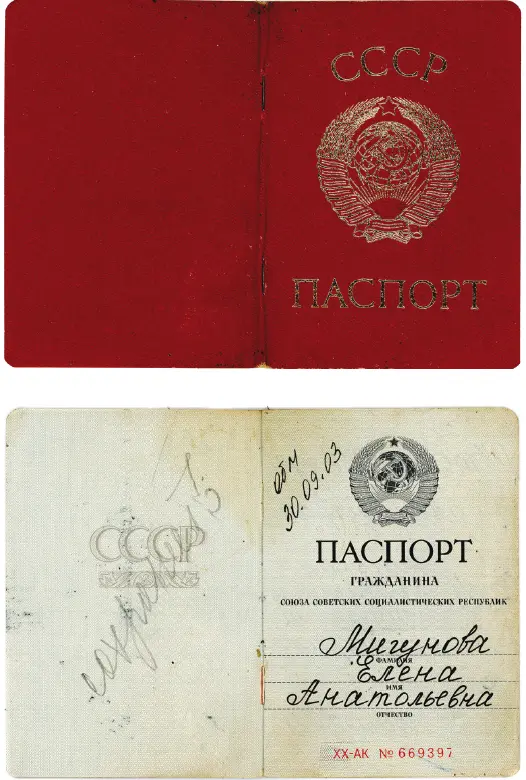 The Soviet Passport - фото 10
