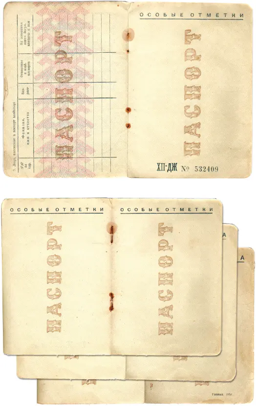 Plate 4adThe 1951 passport Source archive of Krasheninnikov family - фото 9