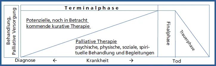 Abb 11 Kurative und palliative Therapie parallel Lynn Adamson 2003 S 7 - фото 9