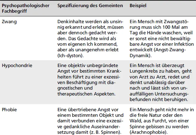 Psychopathologischer FachbegriffSpezifizierung des GemeintenBeispiel - фото 13