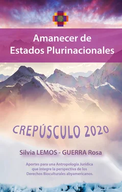 Silvia Roxana Lemos Crepúsculo 2020 - Amanecer de estados plurinacionales обложка книги
