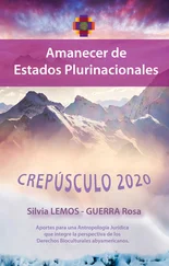 Silvia Roxana Lemos - Crepúsculo 2020 - Amanecer de estados plurinacionales