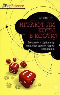 Пол Хэлперн Играют ли коты в кости? Эйнштейн и Шрёдингер в поисках единой теории мироздания обложка книги