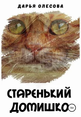 Дарья Олесова Старенький домишко обложка книги