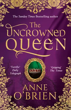 Anne O'Brien The Uncrowned Queen обложка книги