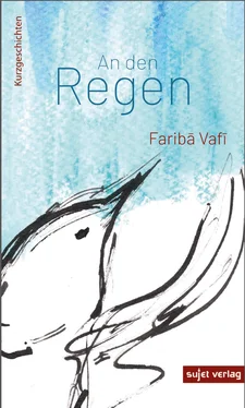 Fariba Vafi An den Regen обложка книги