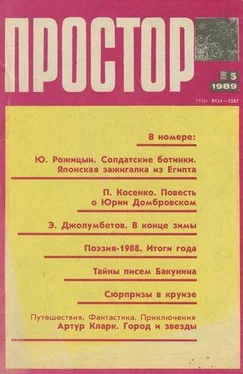 Юрий Рожицын Солдатские ботинки / Японская зажигалка из Египта. обложка книги