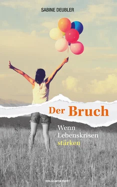 Sabine Deubler Der Bruch обложка книги