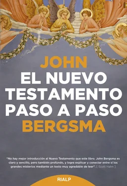 John Bergsma El Nuevo Testamento paso a paso обложка книги