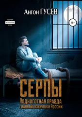 Антон Гусев - Серпы. Подноготная правда главной психушки России
