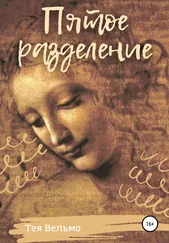 Тея Вельмо - Пятое разделение