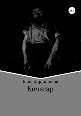 Ваня Кирпичиков Кочегар обложка книги