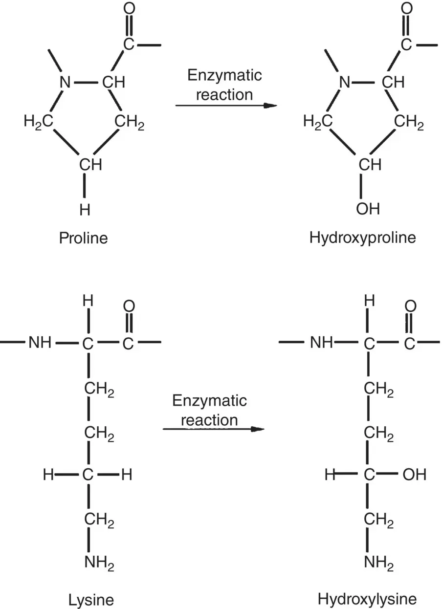 Figure 226 Schematic illustration of the structure of the modified amino acid - фото 49
