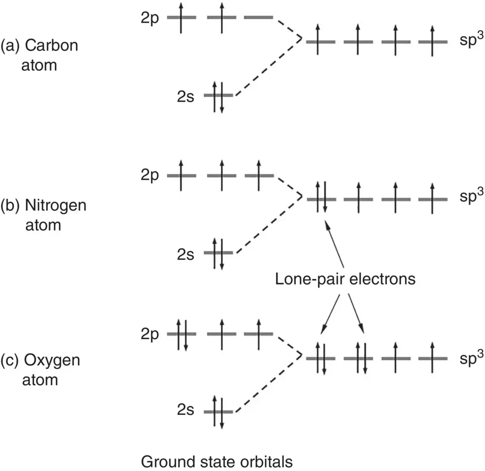 Figure 26 Schematic illustration of the formation of four sp 3orbitals in a - фото 24