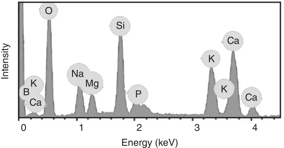Figure 521 EDS spectrum of a borosilicate glass examined in the SEM showing - фото 194