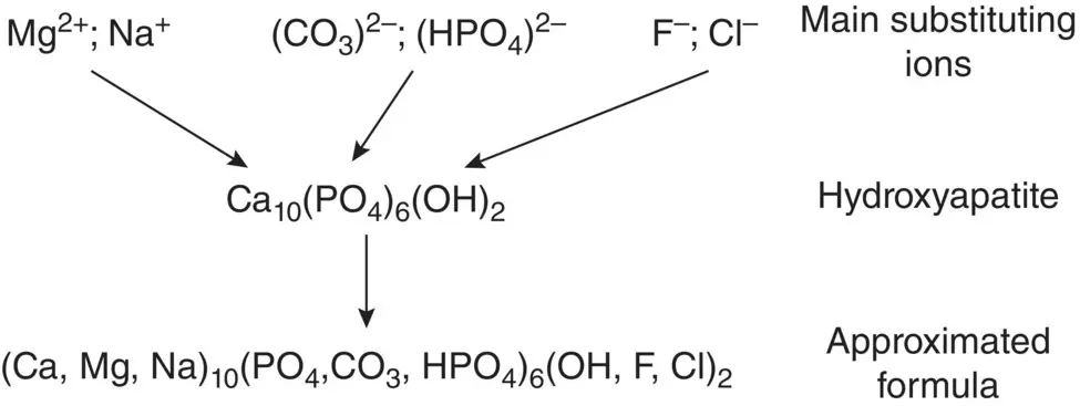 Figure 317 Major substituting ions and approximated formula of - фото 67