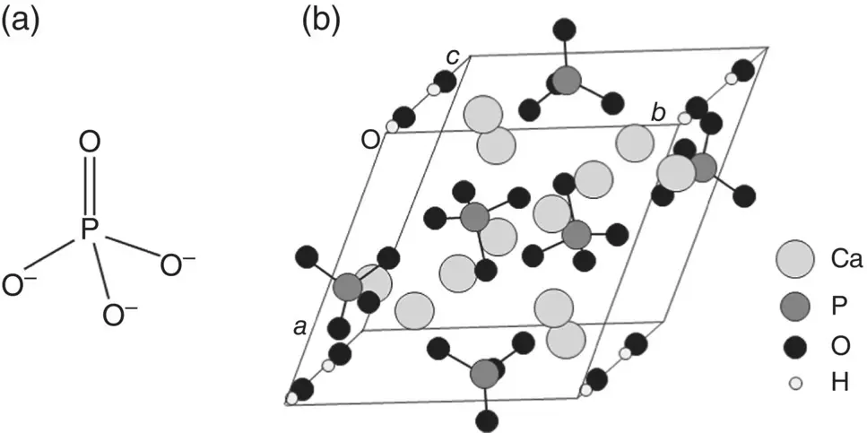 Figure 310 a Arrangement of atoms in a phosphate PO 4 3ion b - фото 60