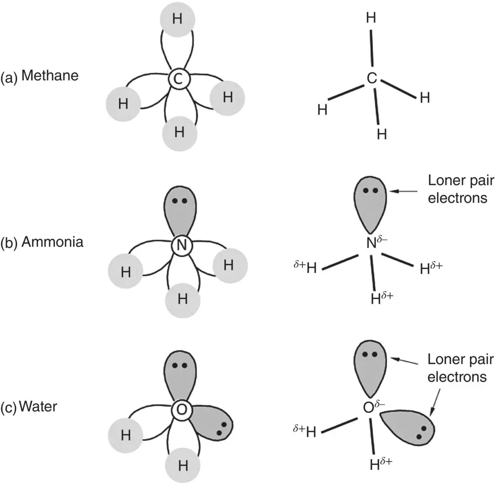 Figure 28 Schematic illustration of covalent bonding in methane ammonia and - фото 26