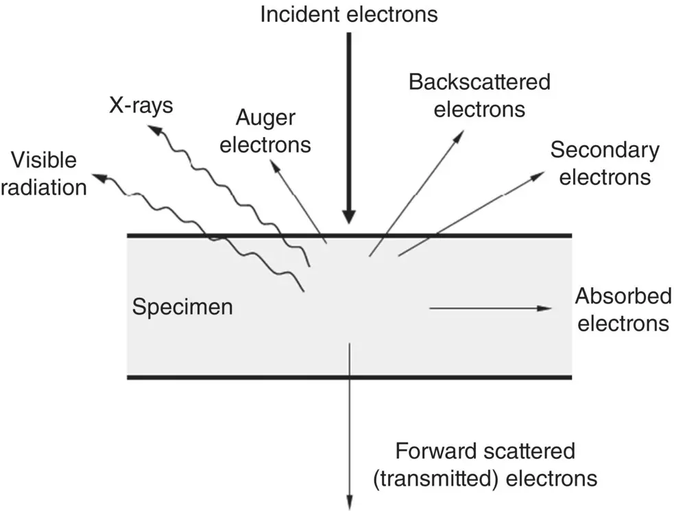 Figure 520 Emissions produced by the interaction of an electron beam with a - фото 193
