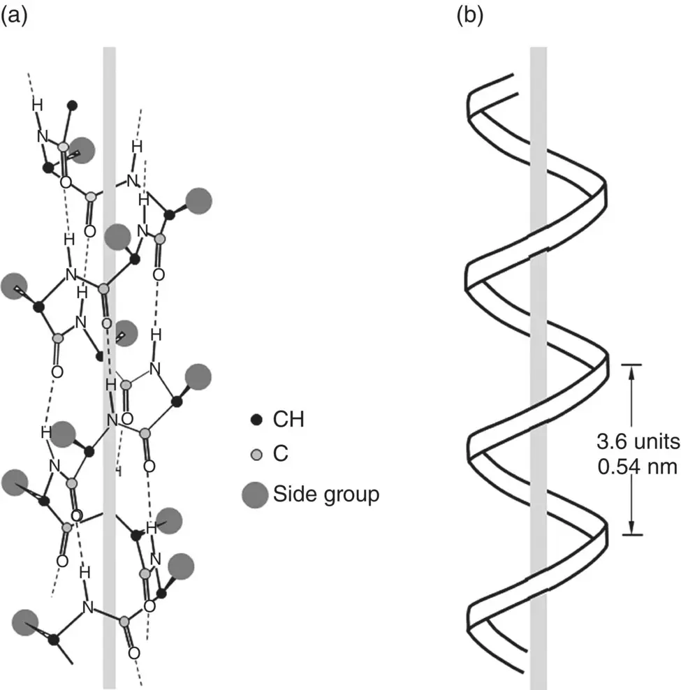 Figure 220 Illustration of a αhelix structure generated by intrachain - фото 40