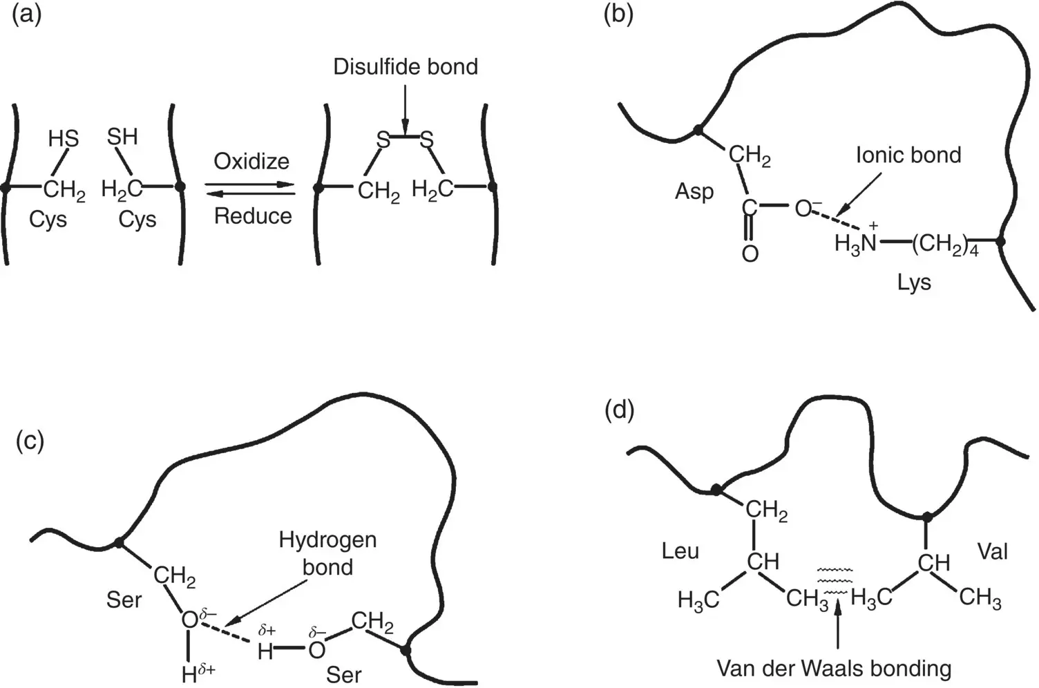Figure 223 Illustration of the main types of interactions between side groups - фото 43