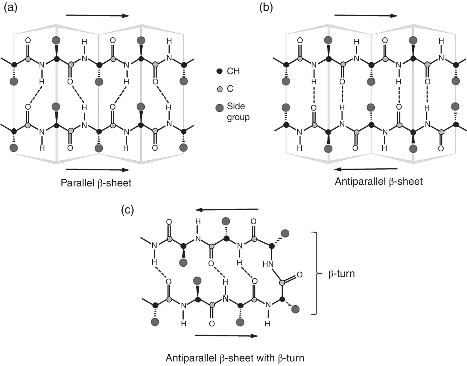 Figure 221 Illustration of βsheet structure generated by layering of - фото 41