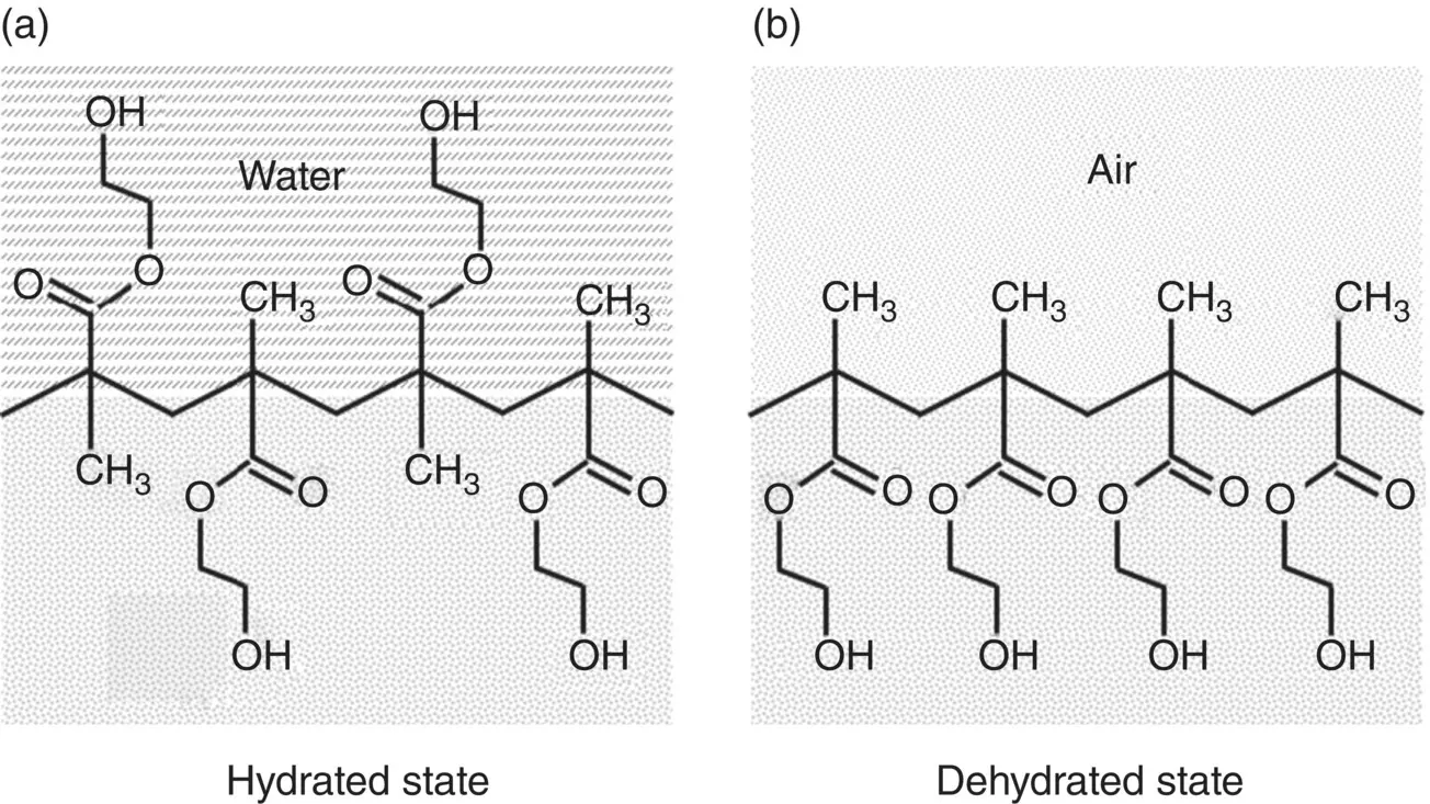 Figure 59 A model for reorientation of polymer surface functional groups - фото 180
