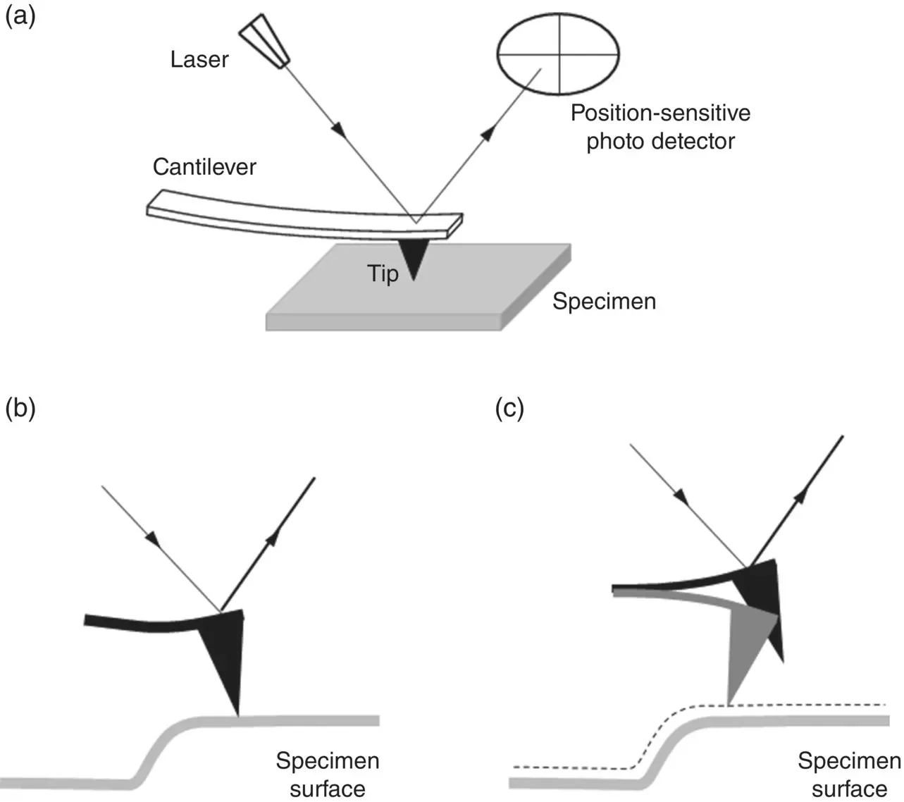 Figure 522 Schematic illustrating a the main components of the AFM - фото 195