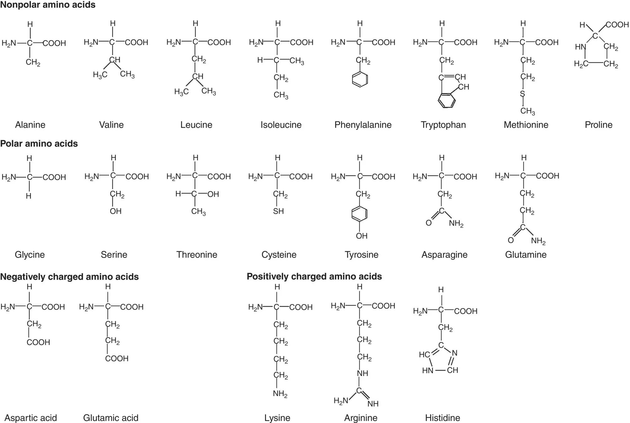 Figure 217 Side groups in 20 naturally occurring αamino acids which can be - фото 37