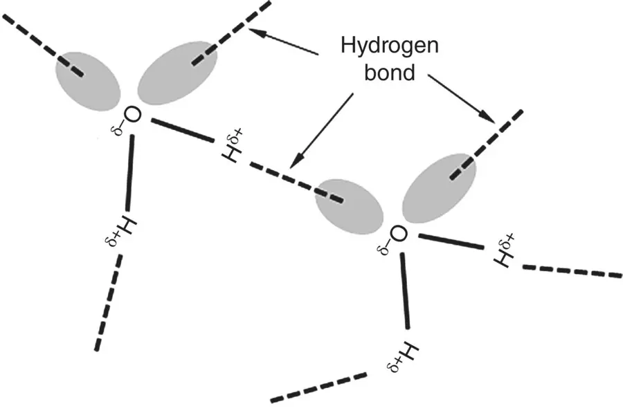 Figure 214 Schematic illustration of hydrogen bonds between water molecules - фото 34