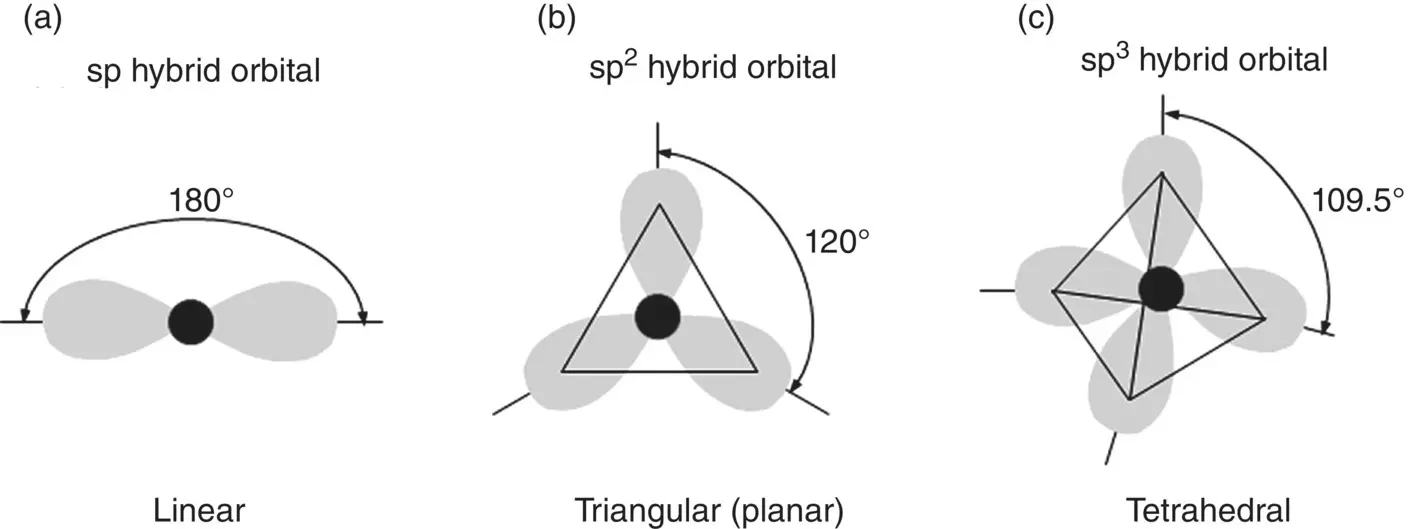 Figure 27 Schematic comparison of the directionality of sp sp 2 and sp - фото 25